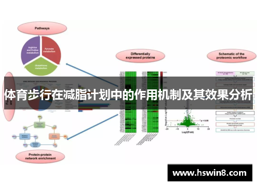 体育步行在减脂计划中的作用机制及其效果分析